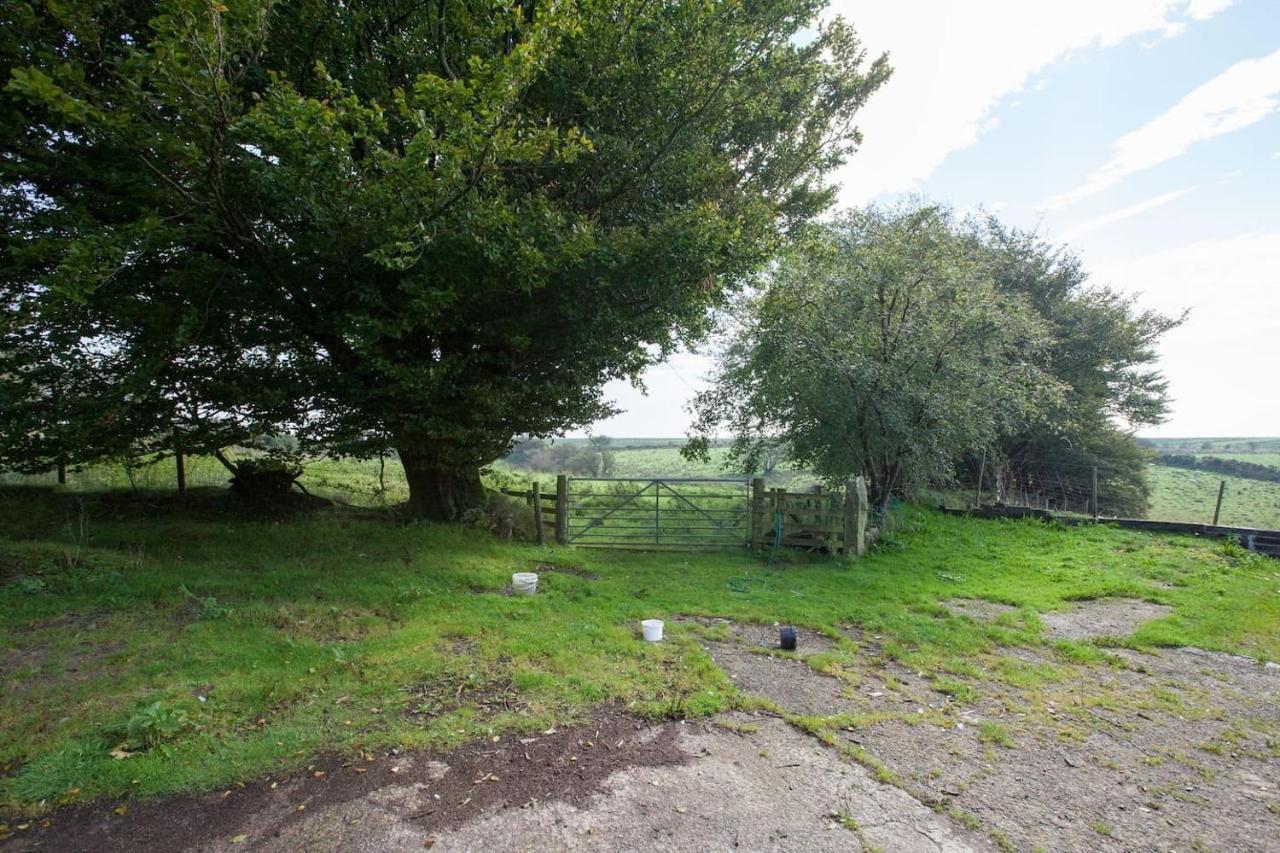 Inviting 2-Bed Cottage In Newcastle Emlyn Exterior foto